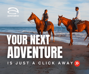 Horseback Tour Evergreen, Horse Ride, Trail ride, Horse Adventure, Trail Ride Experience Horseback Tour Evergreen, Horse Ride, Trail ride, Horse Adventure, Trail Ride Experience